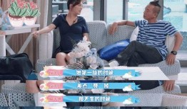 娱乐圈隐藏爆料是什么,揭开明星背后的秘密面纱